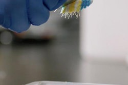 2021 02 09 00 01 1970 2021 02 09 Toothbrush Bacteria 20210209005136