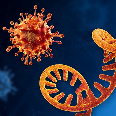 2021 02 20 01 07 7367 Sars Co V 2 Genome Rna 400