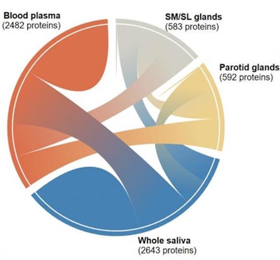 A diagram available through the HSP Wiki depicting the relationships of salivary proteins originating from different locations. Image courtesy of the U.S. National Institute of Dental and Craniofacial Research.