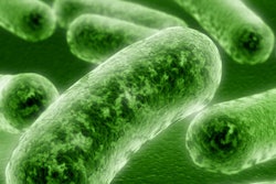 2016 08 25 16 27 40 366 Bacteria 400