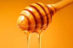 2021 08 23 23 52 7534 Honey 400