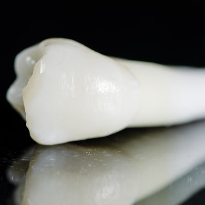 2021 09 23 16 05 4199 Tooth Maxillary Premolar 400