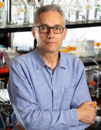Dr. Stefan Ruhl, PhD. Image courtesy of the University at Buffalo.