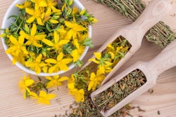 2021 12 02 23 10 6156 St Johns Wort 400