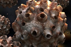 2018 01 18 23 26 2866 Hpv 400