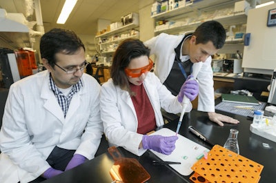 Luiz Bertassoni (far right) and his team developed a miniature tooth system to closely observe the interactions among dental materials, the microbiome, and tooth tissue. Image courtesy of Oregon Health & Science University.