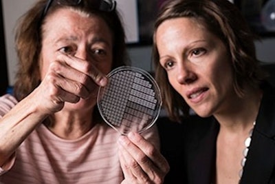 Lisa DeLouise (left), Danielle Benoit (right), and Catherine Ovitt (not pictured) developed a tissue chip (above) with bubble-shaped wells that hold tiny salivary glandlike clusters to screen for drugs that protect the salivary glands from radiotherapy for head and neck cancer. Image courtesy of the University of Rochester.