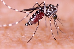 2017 08 22 16 12 42 302 Mosquito Zika 400