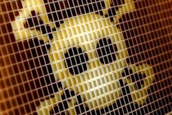 2019 11 19 00 10 8061 Skull Error Danger 400