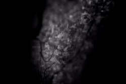 2022 04 26 16 35 8816 2022 04 26 Nidcr Pain Signaling 400