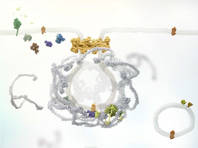 Researchers from the New York University College of Dentistry found that alternating the chemical properties of anti-nausea drugs may be key to longer-lasting pain relief. Pictured is an NK1 receptor signaling from endosomes.