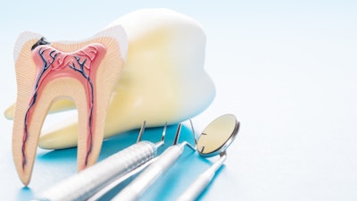 Tooth Anatomy