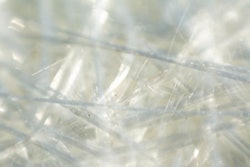 Researchers investigated the effects of bioactive glass containing ionic silver on biofilms formed by P. aeruginosa. They reported that specific preparation, storage, and application techniques can minimize the transformation of silver ions to silver chloride and thus retain antimicrobial activity.