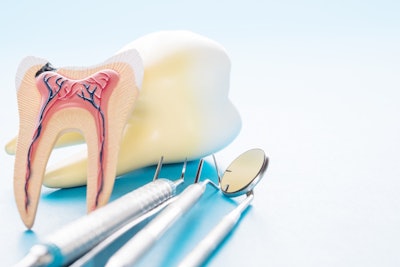 Tooth Anatomy Resized