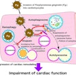 Gingipain released by P. gingivalis cleaves VAMP8, thereby inhibiting autophagy through preventing autophagosomes-lysosome fusion, which causes cardiac dysfunction. Image and caption courtesy of the department of cardiovascular medicine at Tokyo Medical Dental University.