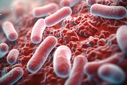 Oral Bacteria