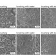 After drinking pure black tea (a) during CHX treatment, significantly stronger staining can be seen under the scanning electron microscope in comparison to drinking the beverage diluted with milk (b). Images and caption courtesy of Fraunhofer IMWS/Haleon.