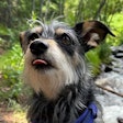 Winnifred from the great state of Colorado
