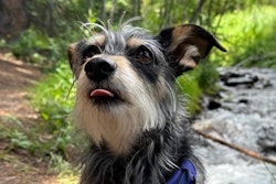 Winnifred from the great state of Colorado