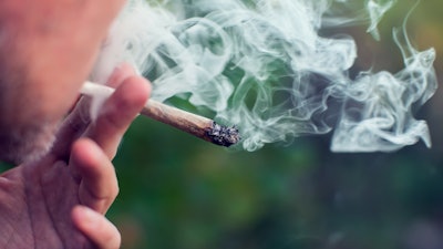 Marijuana Joint Smoking