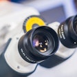 Microscope Confocal