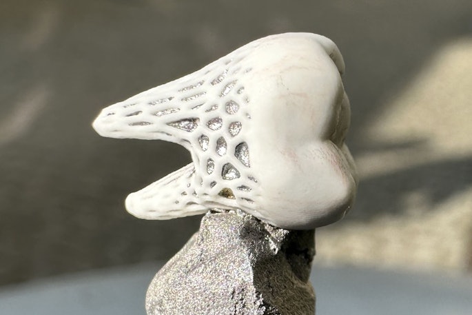 The upper part of the crown features a solid ceramic structure, whereas the root is porous. Due to this structure, the roots can be saturated with a liquid metal, such as a magnesium alloy, that is designed to reduce the fragility of the crown while acting as an anchor. Images and captions courtesy of Wroclaw University of Science and Technology.