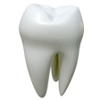 Tooth Res