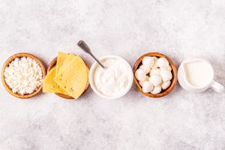 Probiotics Diary