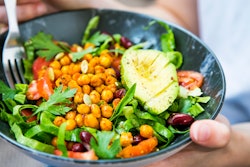 Plant Diet Marrakeshh