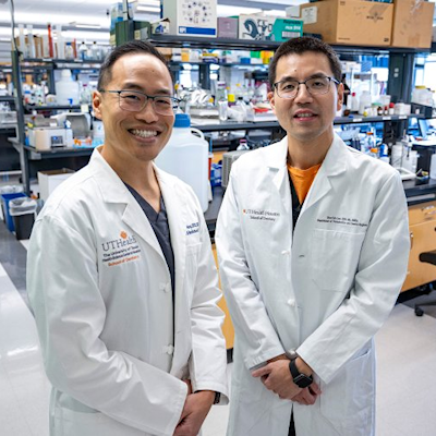 2024 11 06 Ut Health Periodontal Study 400