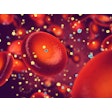 Diabetes Insulin Glucose Blood