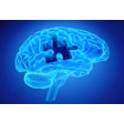 Brain Puzzle Dementia