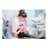 Dental Hygienist Woman