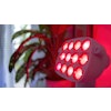 Red Light Therapy Anna