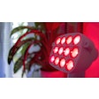 Red Light Therapy Anna