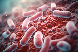 Oral Bacteria