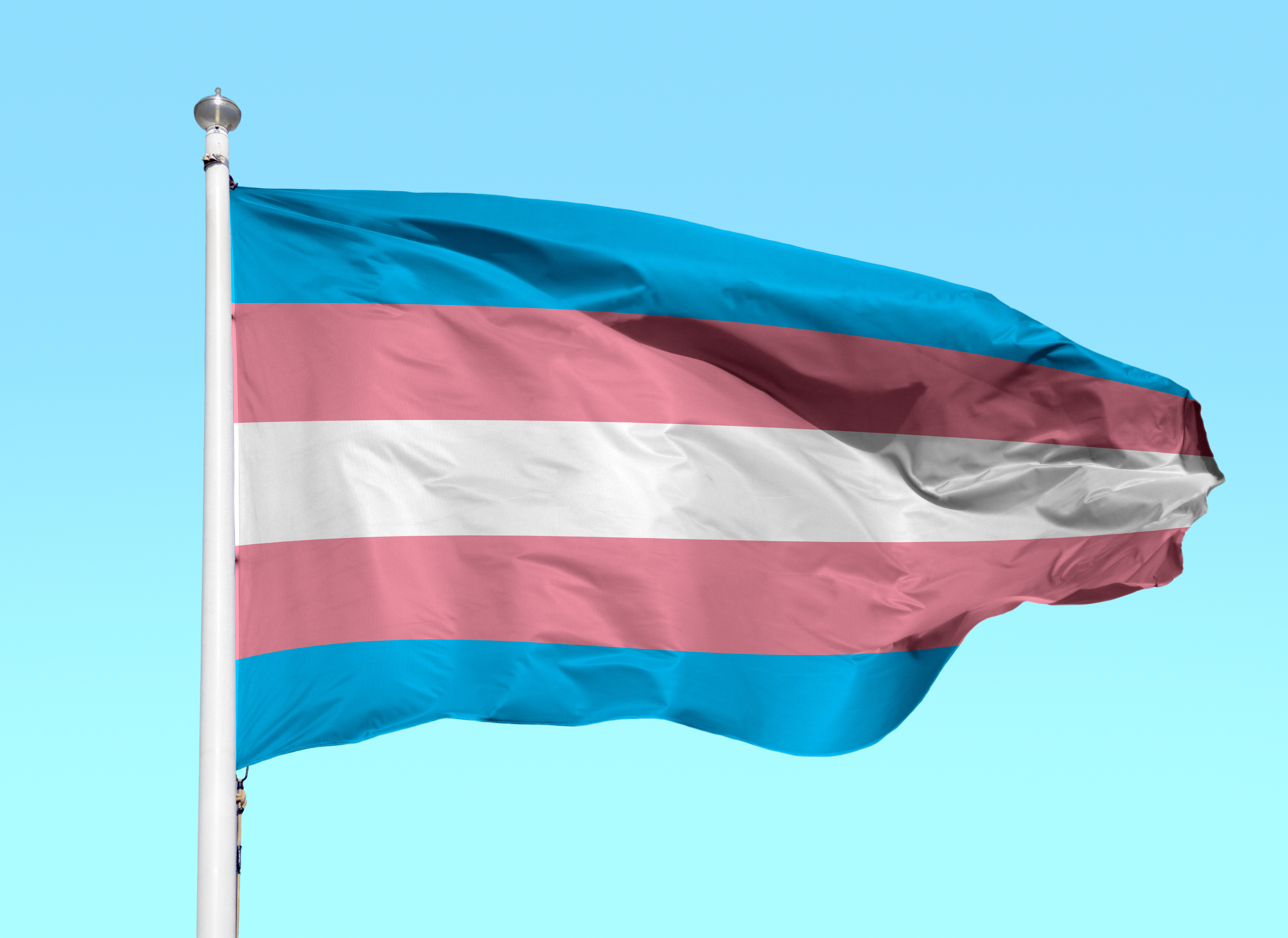 Transgender Flag