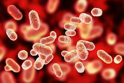 Bacteria Porphyromonas Gingivalis Dr Microbe
