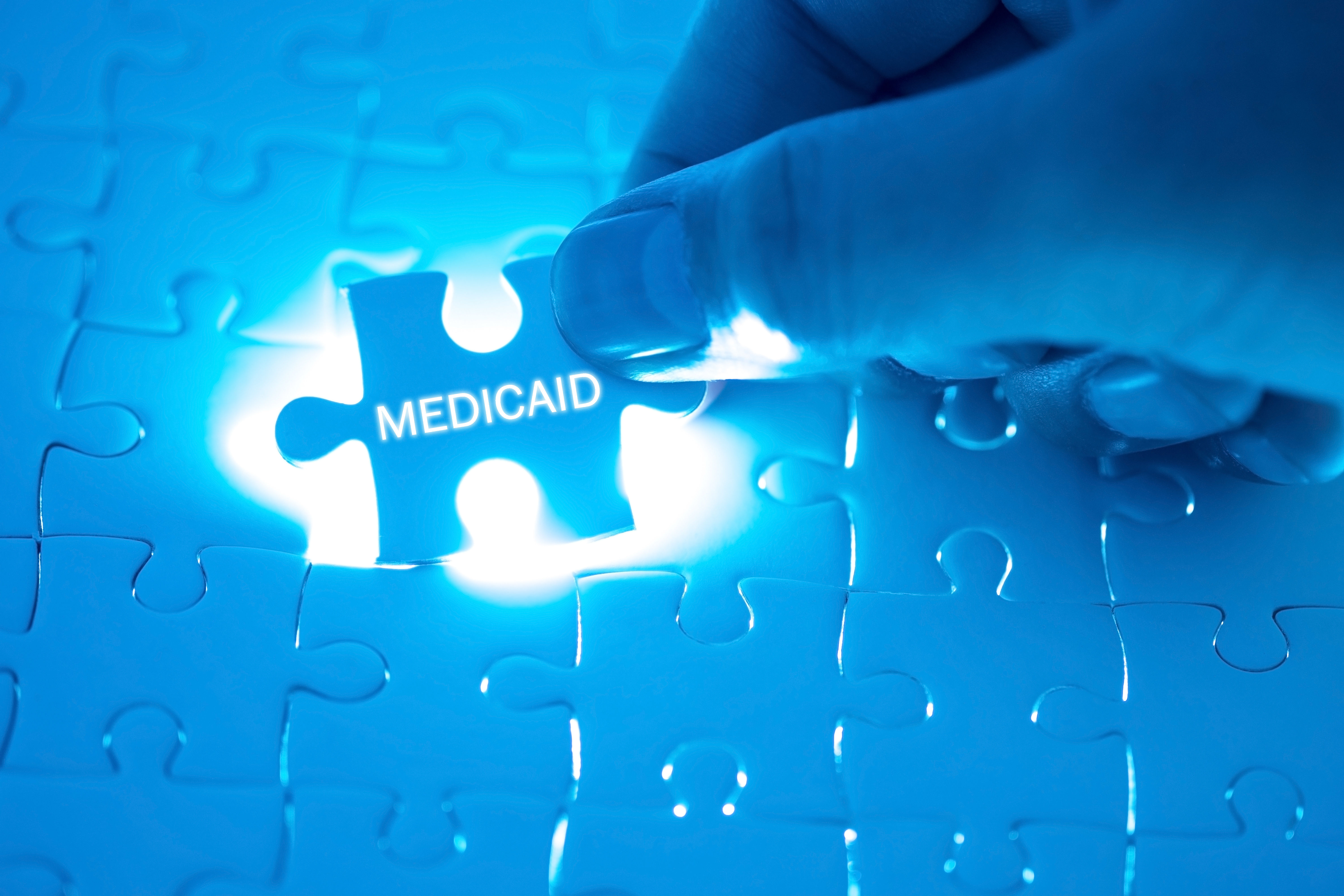 Medicaid Puzzle Suthisak