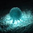 Cancer Cell Microenvironment