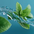 Mouthwash Mint Incy