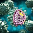 Hepatitis B Virus