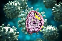 Hepatitis B Virus