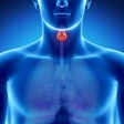 Thyroid
