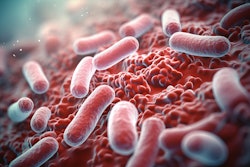 Oral Bacteria