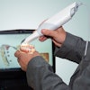Scanner Intraoral Dental