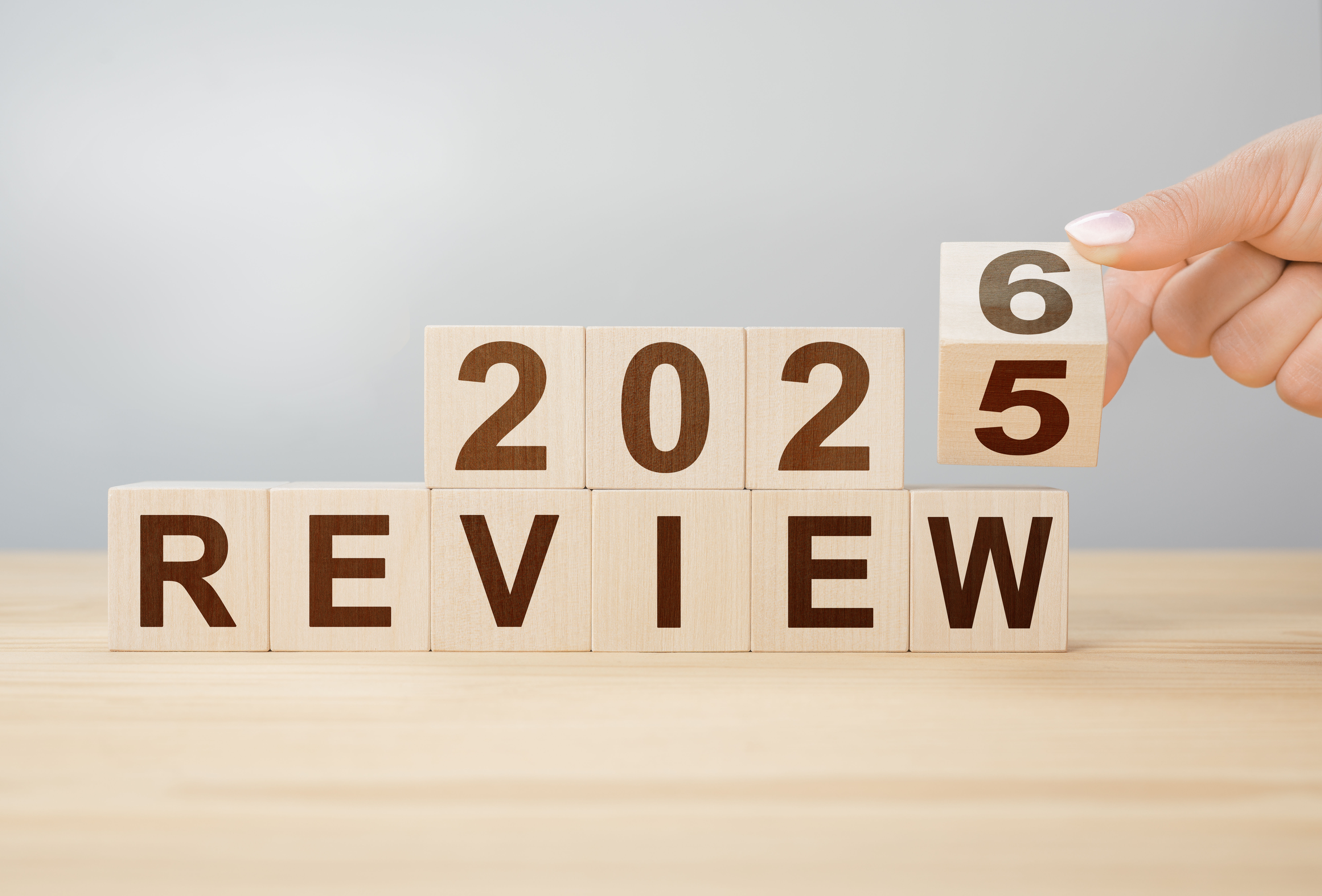 2025 2026 Review Celt Studio