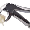 Dental Forceps Tooth