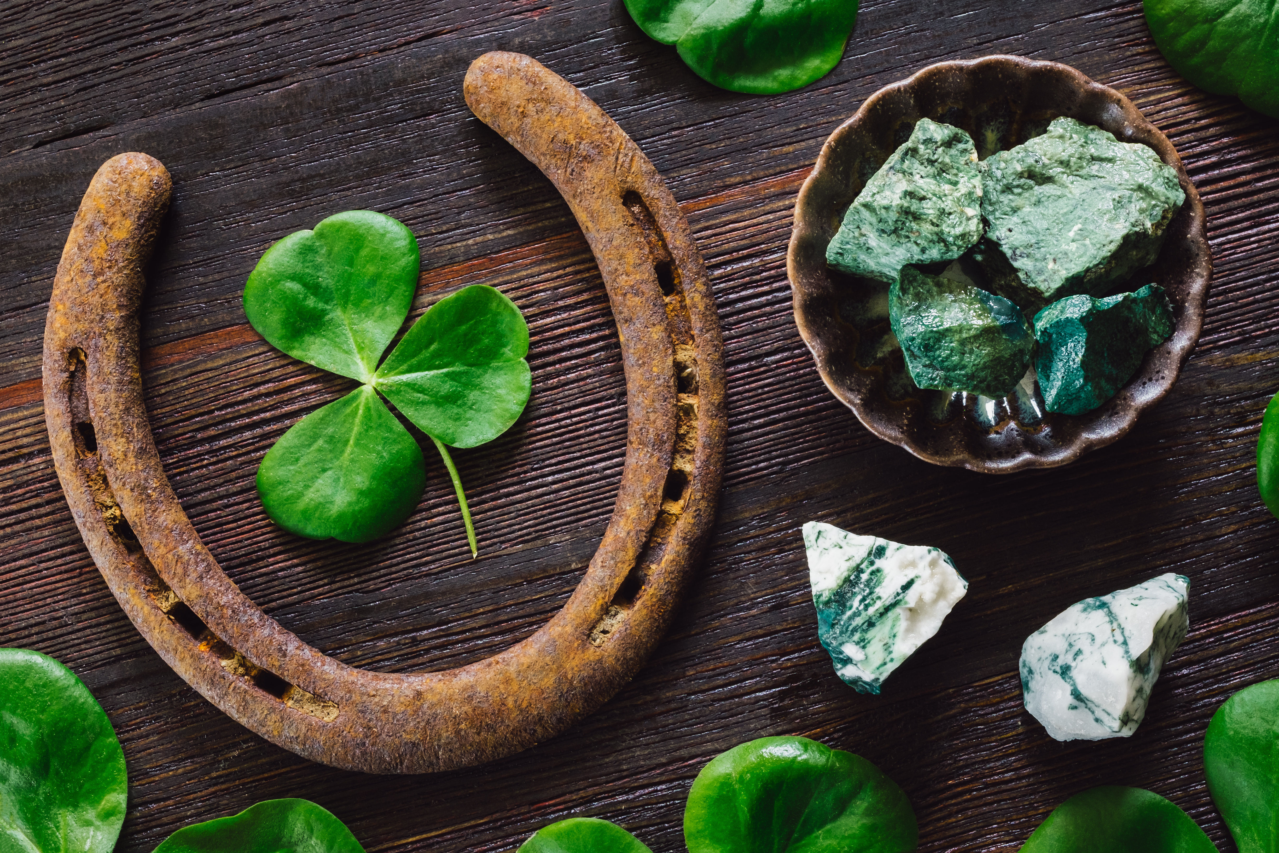 Horseshoe Luck Serena Tayyan