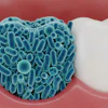 Tooth Biofilm Jibon